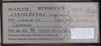 Image Associated With the Occurence